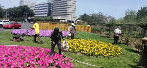 非凡国际(中国区)-官方网站