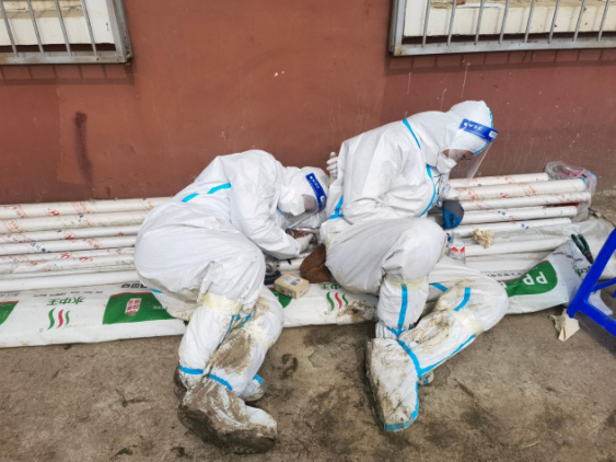 非凡国际(中国区)-官方网站